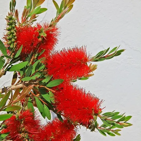 La Chaize - Villa, & 3* Noirmoutier-en-l'Ile