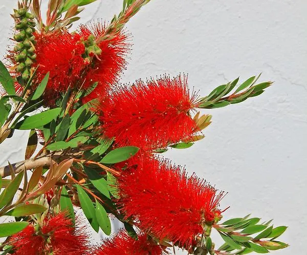 La Chaize - Villa, & 3* Noirmoutier-en-l'Ile